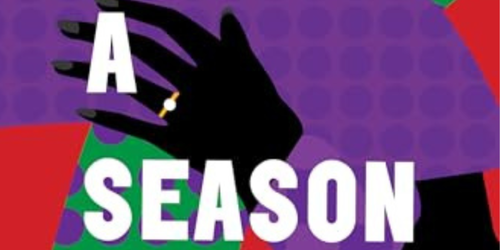 A Season of Light by Julie Iromuanya