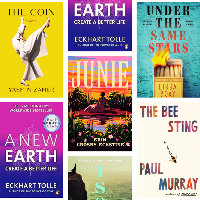 February 2025 Celebrity Book Club Picks